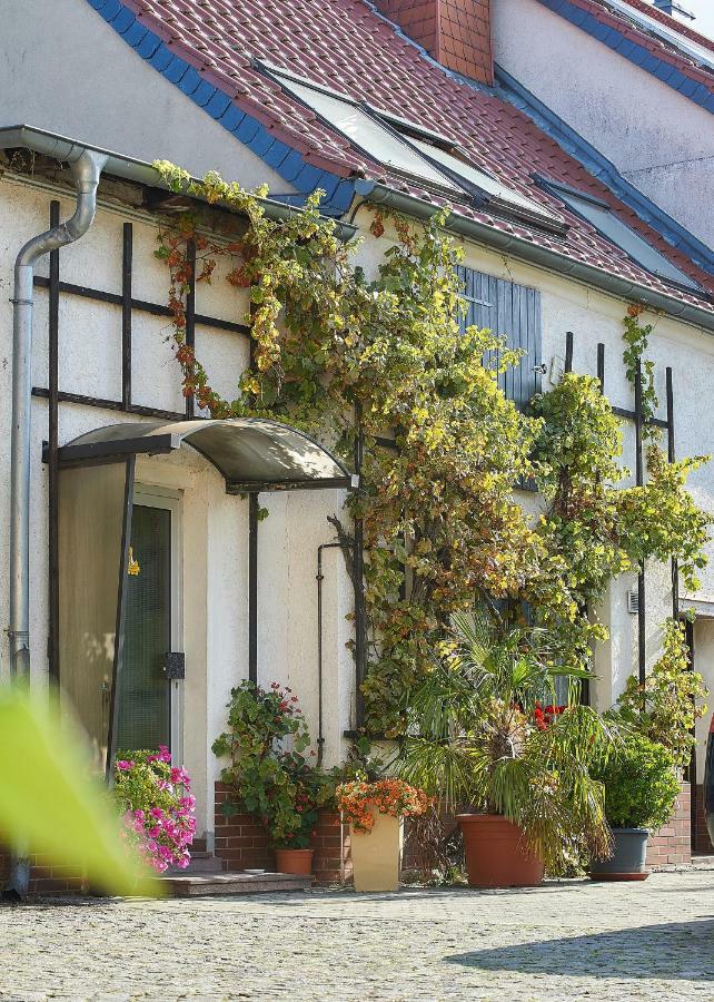 Reiterhof Wollnau 아파트 외부 사진